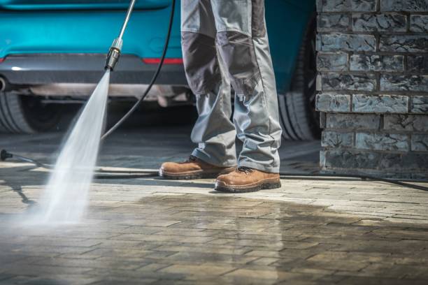 Best Patio and Deck Pressure Washing  in Pine, AZ