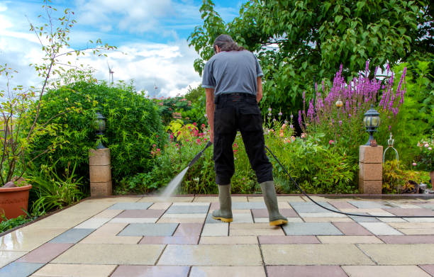 Professional  Pressure Washing Services in Pine, AZ