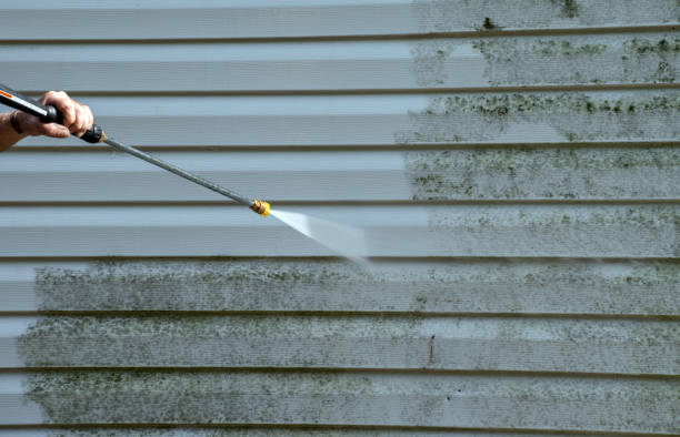 Best Sidewalk and Walkway Cleaning  in Pine, AZ